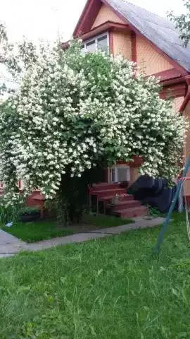 Продается дом в пгт Малаховка - Фото 2