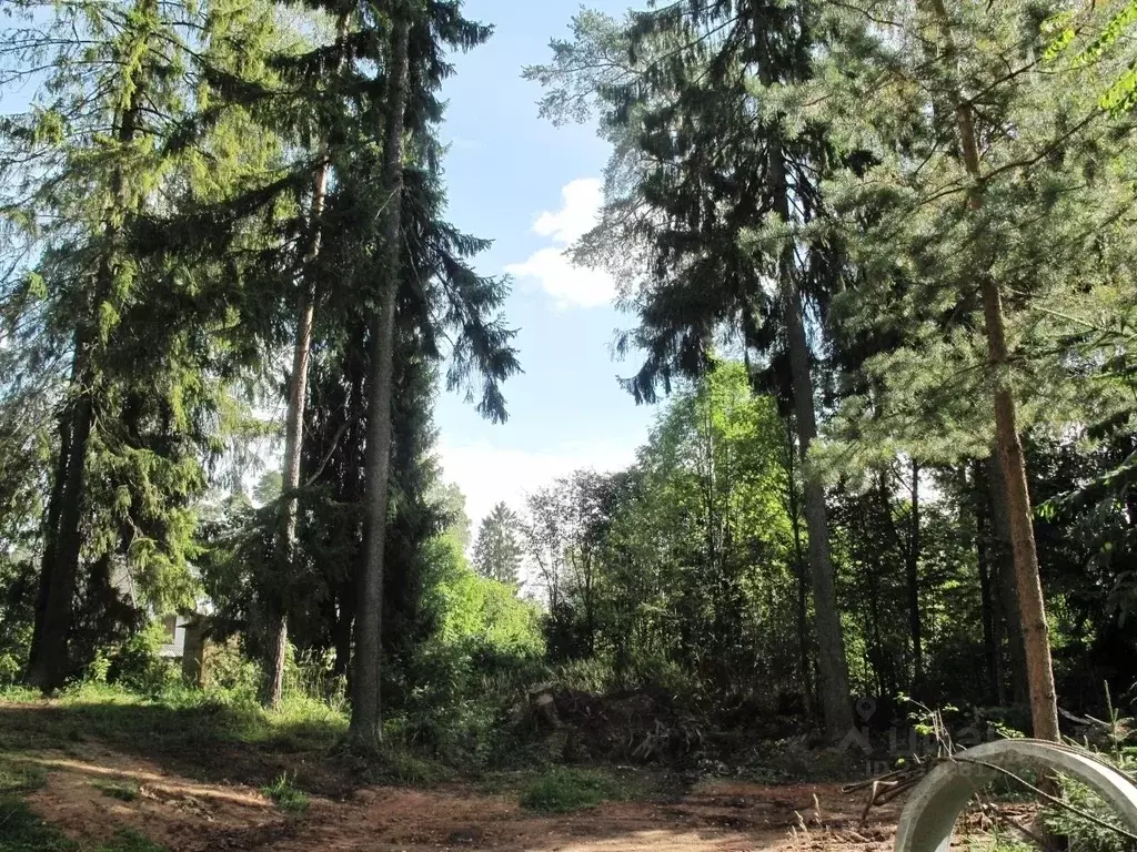 Дом в Ленинградская область, Гатчинский муниципальный округ, Вырица ... - Фото 2