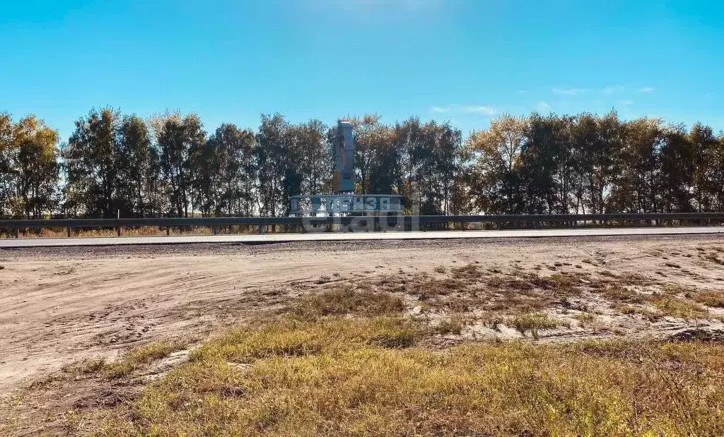 Участок в Пензенская область, Бессоновский район, с. Мастиновка  (6.0 ... - Фото 1