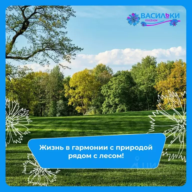 Участок в Калужская область, Калуга ул. Валентины Гризодубовой, 29 ... - Фото 2
