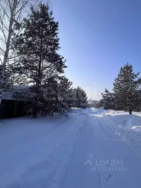 Участок в Новосибирская область, Новосибирский район, Барышевский ... - Фото 1
