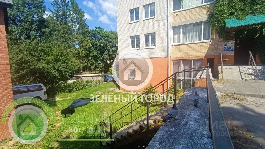 3-к кв. Калининградская область, Светлогорск Пионерская ул., 18Б ... - Фото 0