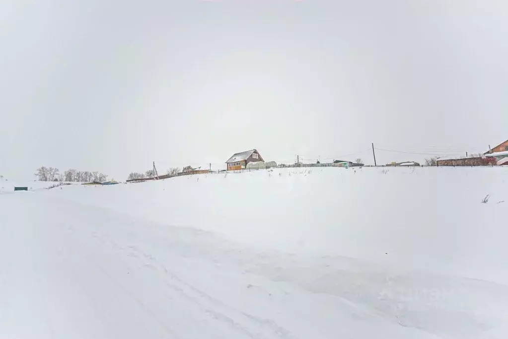 Участок в Новосибирская область, Искитимский район, Чернореченский ... - Фото 1