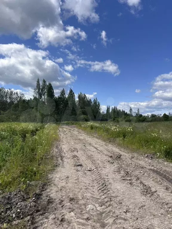 Участок 10 сот. (ИЖС) - Фото 1