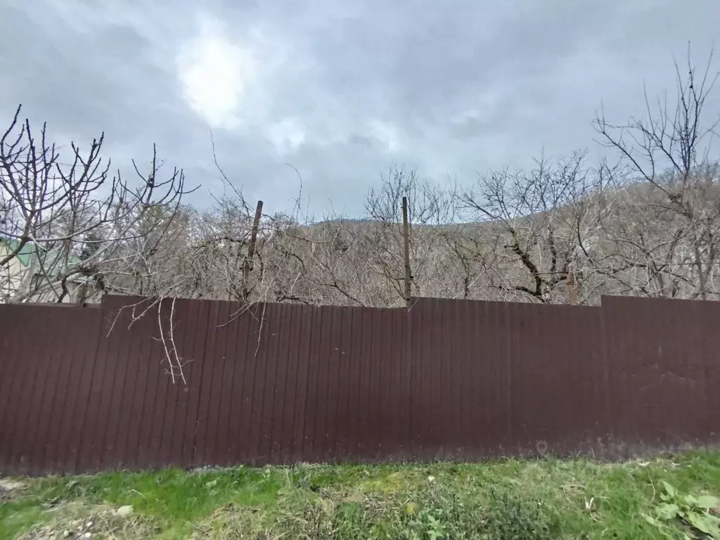 Участок в Краснодарский край, Сочи пер. Адыгейский, 1 (8.0 сот.) - Фото 2