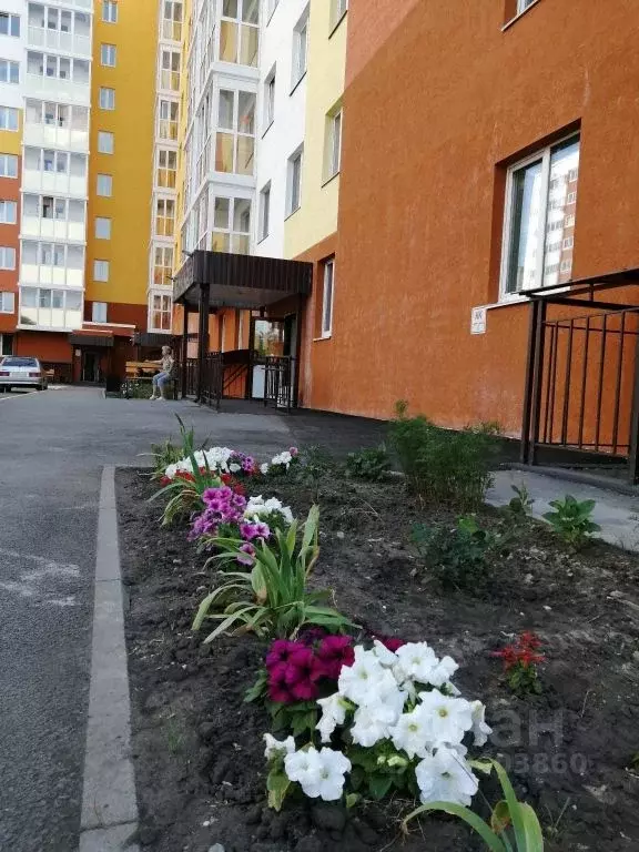 1-к кв. Курганская область, Курган Заозерный жилрайон, 3-й мкр, 6Б ... - Фото 1