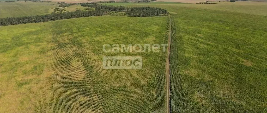 Участок в Московская область, Серебряные Пруды пгт пл. Советская (10.0 ... - Фото 1