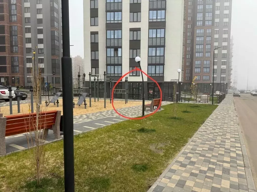 Помещение свободного назначения в Воронежская область, Воронеж ... - Фото 0