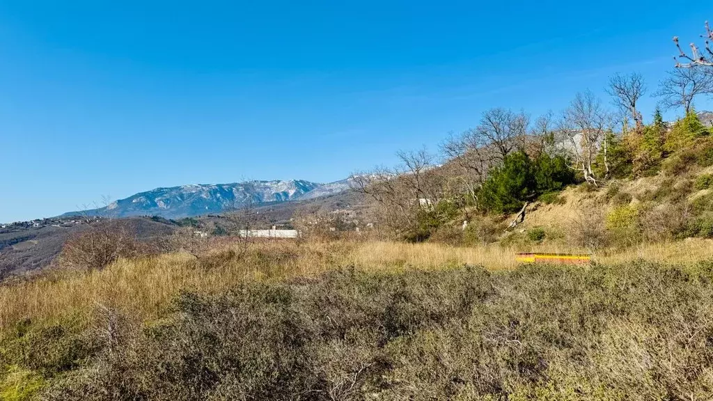 Участок в Крым, Алушта муниципальный округ, с. Пушкино  (25.0 сот.) - Фото 2