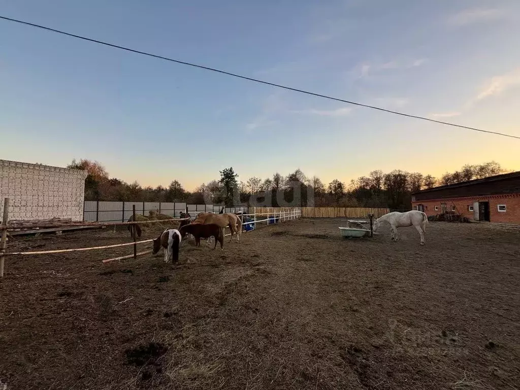 Участок в Курганская область, Кетовский муниципальный округ, с. ... - Фото 1