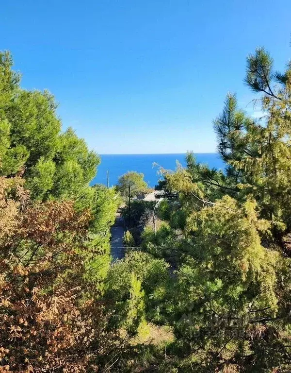 Участок в Крым, Алупка ш. Севастопольское, 65 (8.7 сот.) - Фото 1