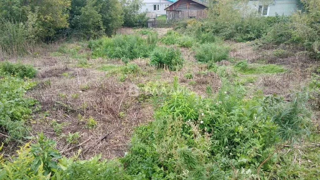 1-к кв. Алтайский край, Бийский район, пос. Пригородный Пролетарская ... - Фото 2