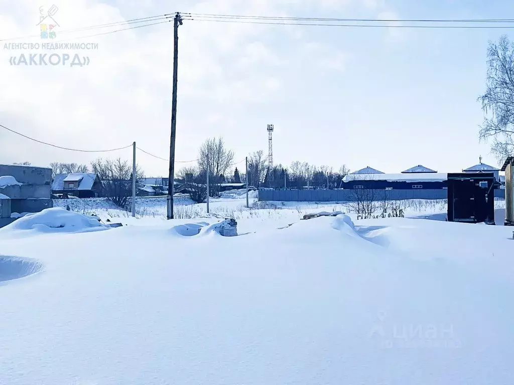 Участок в Алтайский край, Барнаул городской округ, пос. Лесной ул. ... - Фото 1