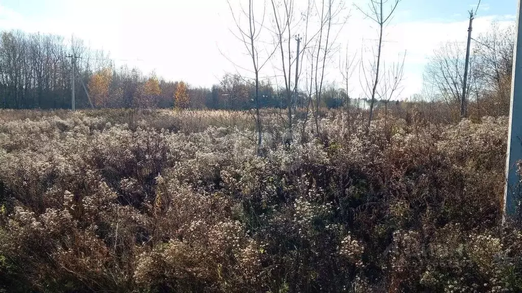 Участок в Московская область, Сергиево-Посадский городской округ, с. ... - Фото 1