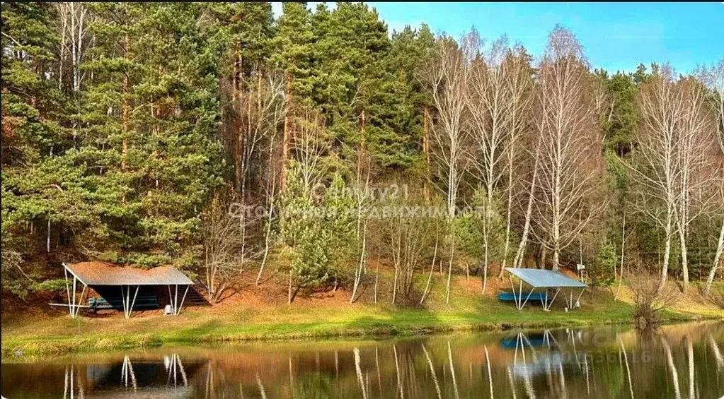 Участок в Московская область, Домодедово городской округ, д. ... - Фото 0