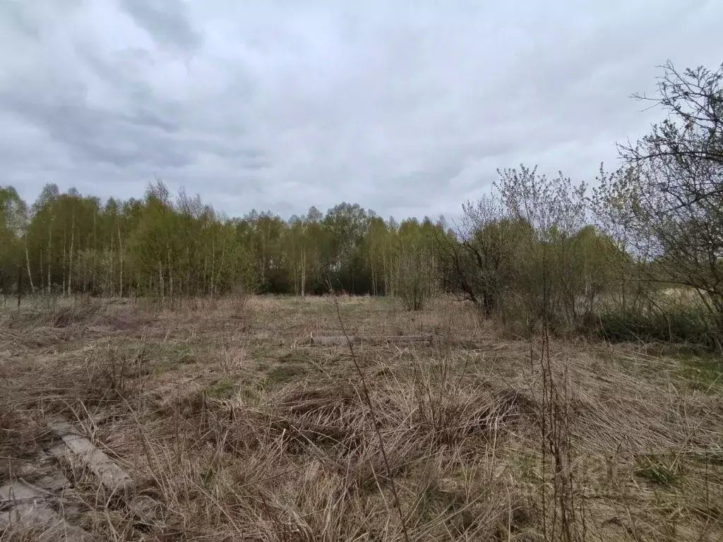 Дом в Нижегородская область, Бор городской округ, д. Трутнево 65 (32 ... - Фото 1