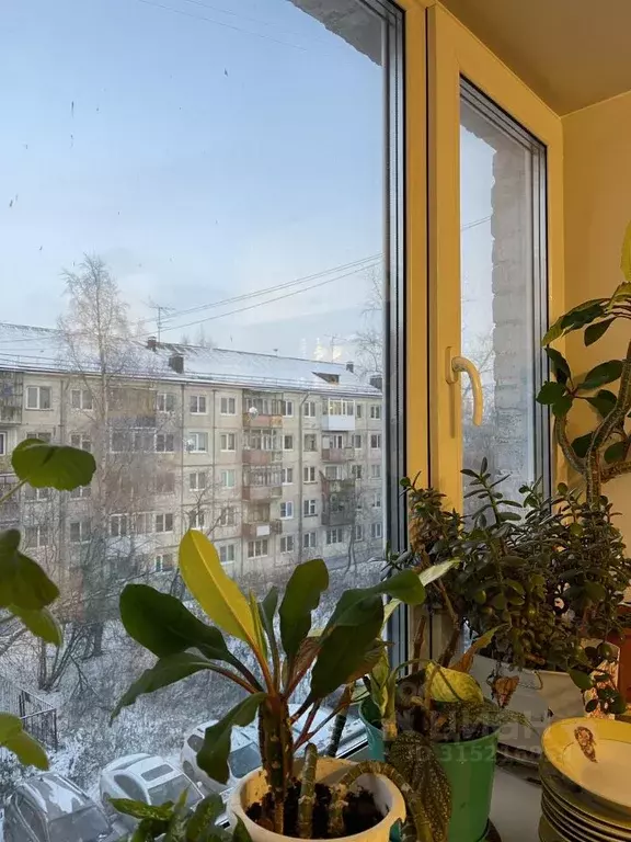 Комната Архангельская область, Архангельск ул. Суворова, 9 (12.6 м) - Фото 2