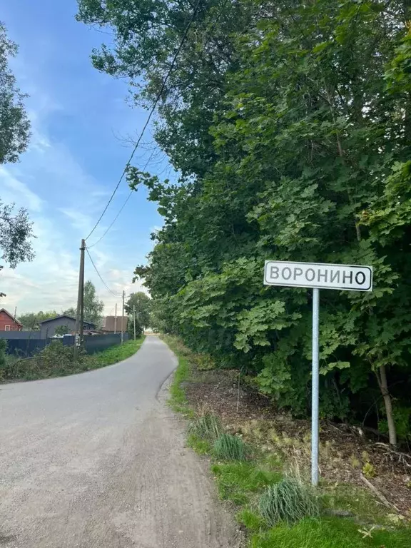 Участок в Ленинградская область, Ломоносовский район, Лопухинское ... - Фото 2