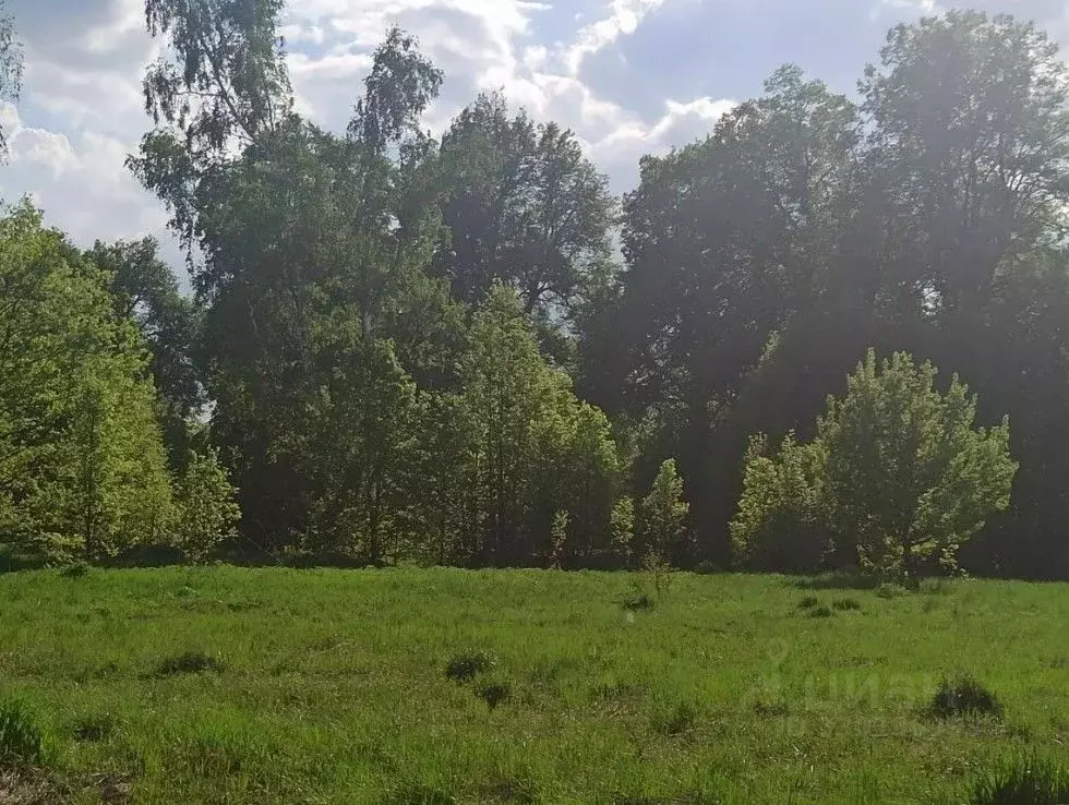Участок в Московская область, Ступино городской округ, д. ... - Фото 2