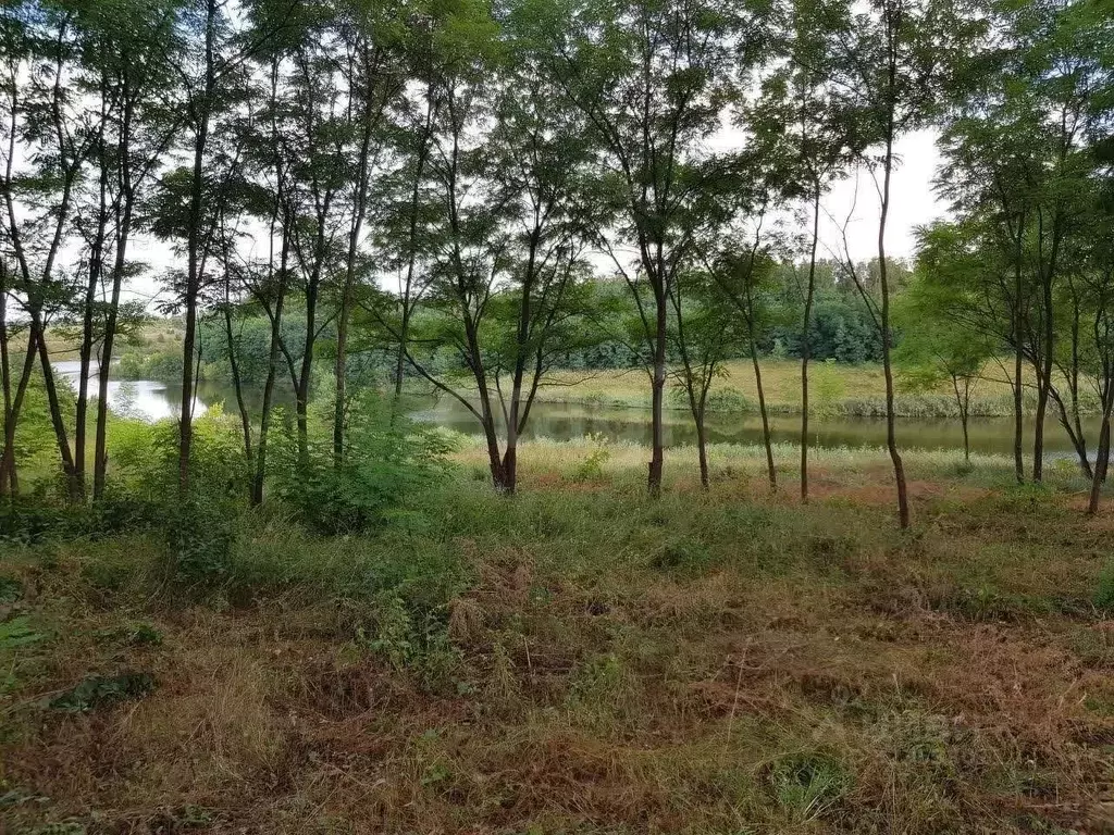 Участок в Белгородская область, Белгородский район, пос. Майский, ... - Фото 1