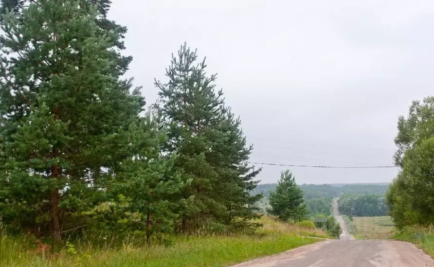 Участок в Калужская область, Перемышльский муниципальный округ, ... - Фото 1