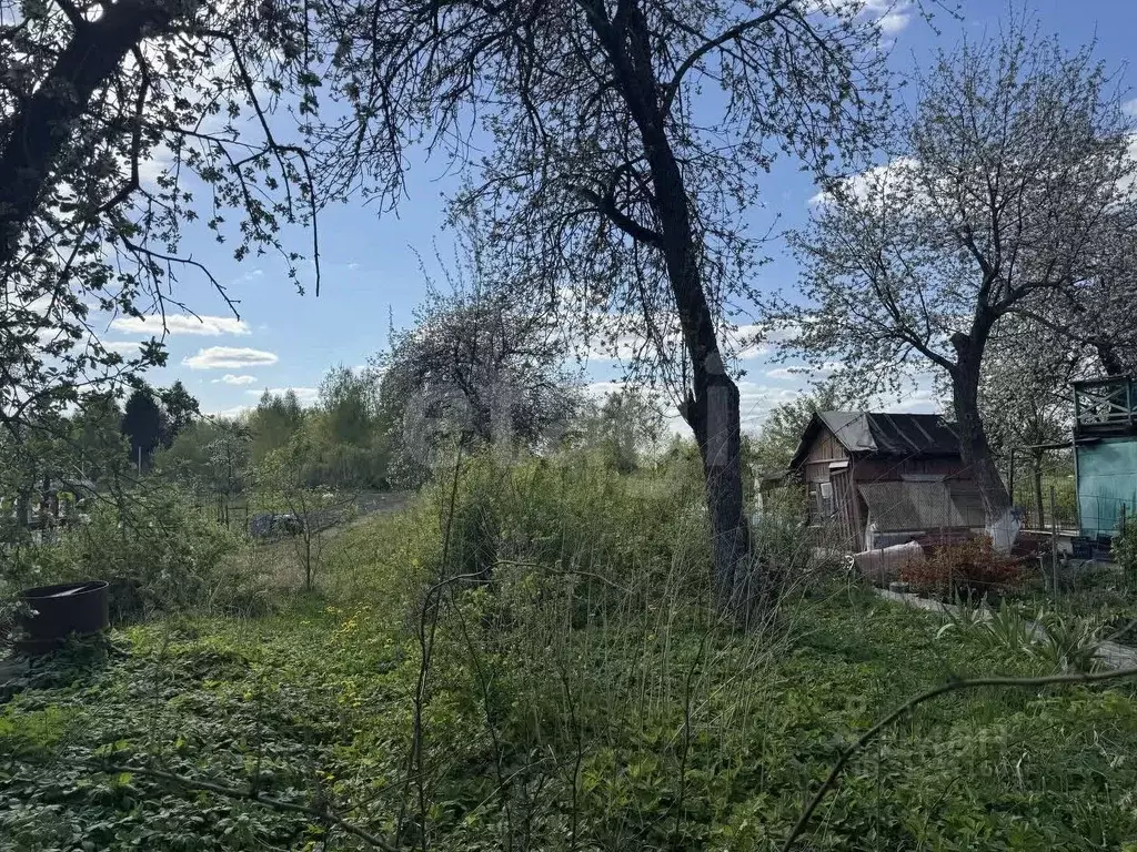 Дом в Смоленская область, Смоленский муниципальный округ, Патриот ... - Фото 1