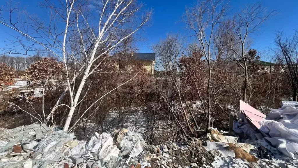 Участок в Амурская область, Благовещенский район, с. Чигири  (14.37 ... - Фото 1