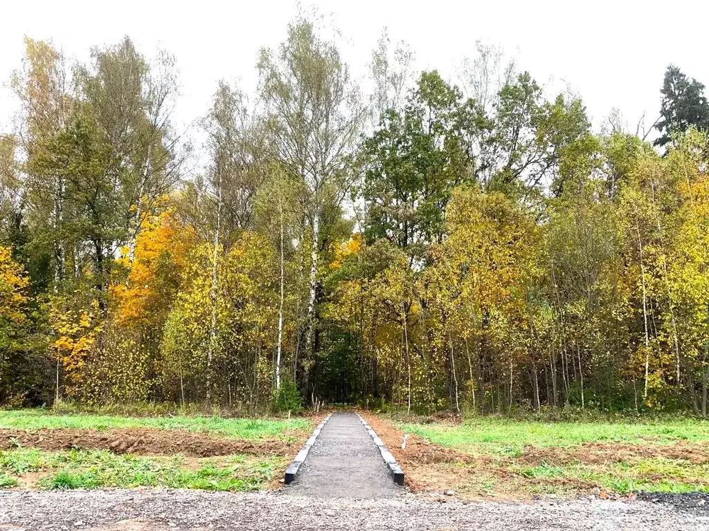 Участок в Московская область, Одинцовский городской округ, д. Ивановка ... - Фото 2