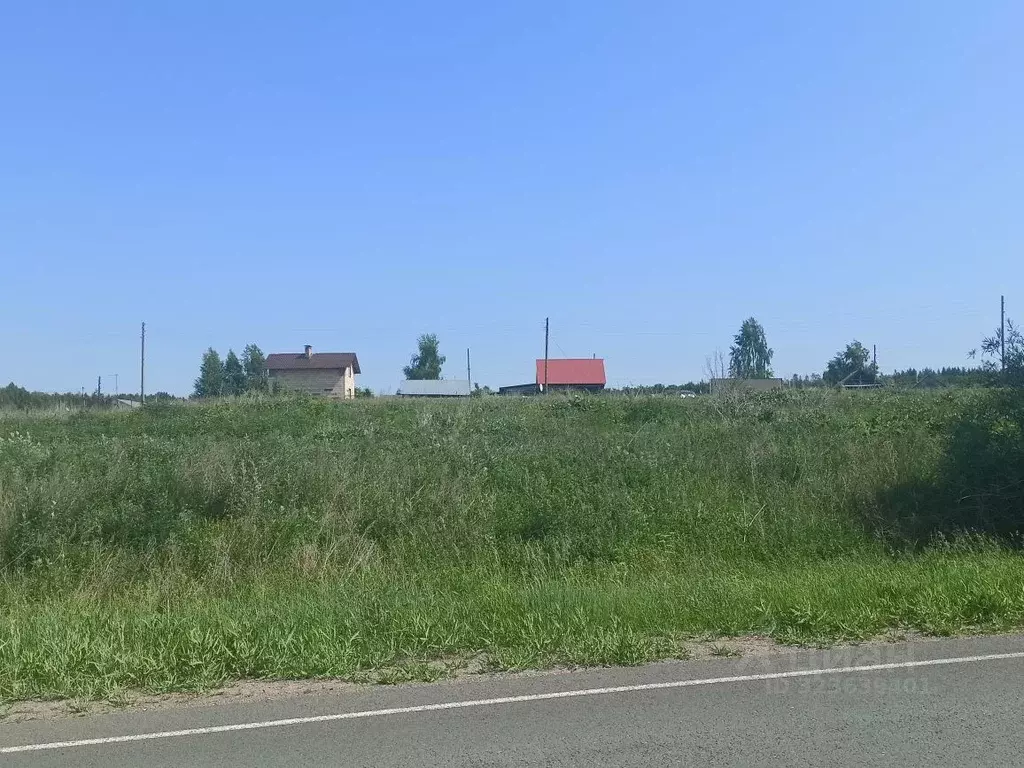 Участок в Самарская область, Красноярский район, Новый Буян с/пос, д. ... - Фото 2
