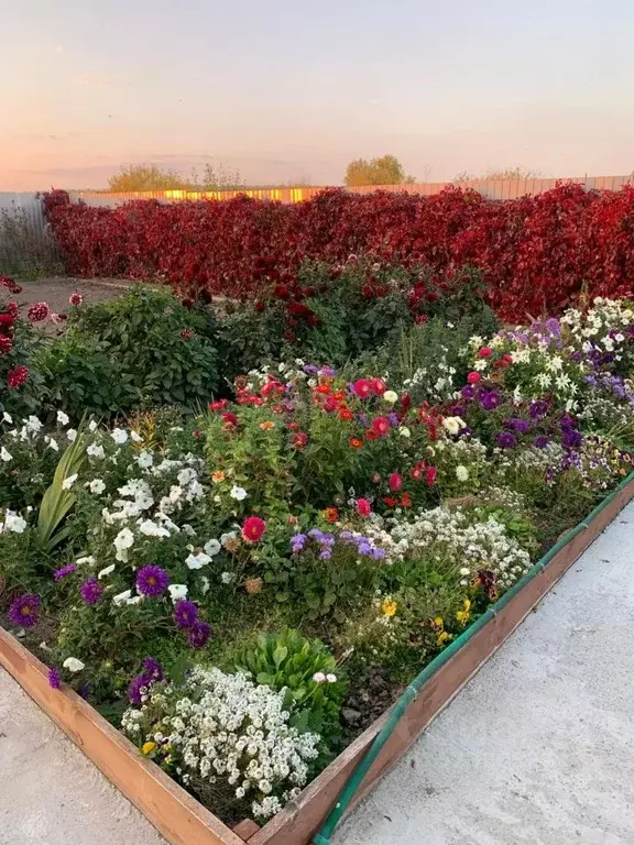 Дом в Свердловская область, Белоярский муниципальный округ, с. ... - Фото 2