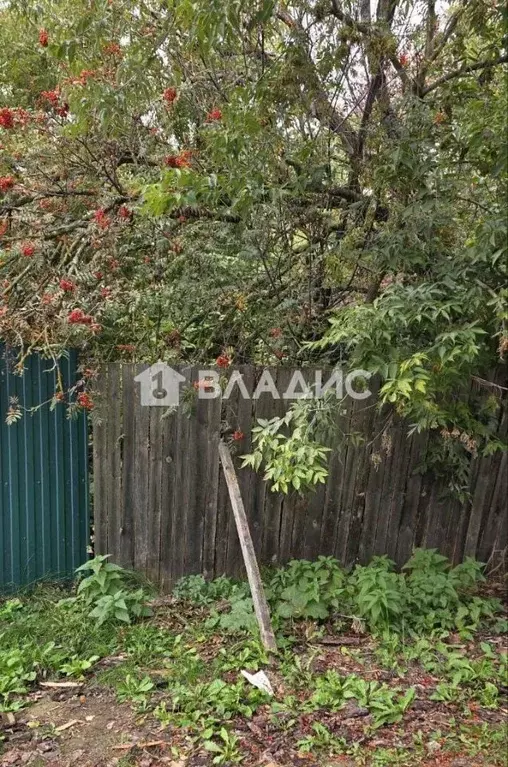 Дом в Владимирская область, Судогодский муниципальный округ, с. Мошок ... - Фото 2