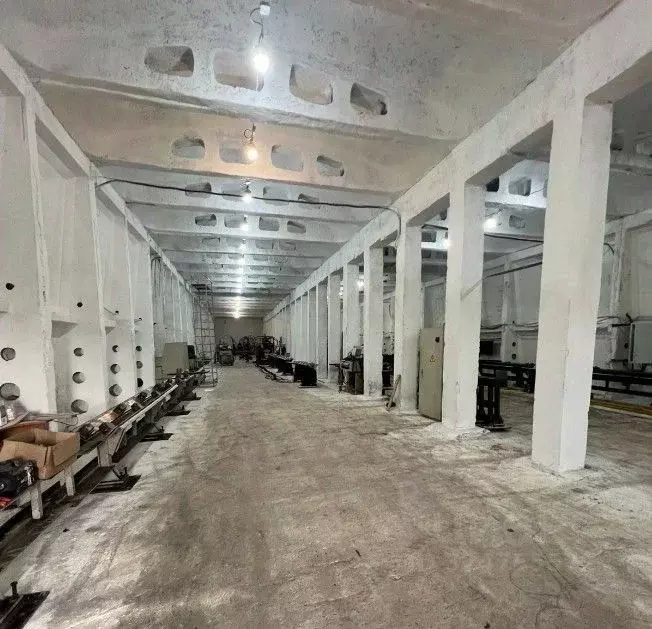 Производственное помещение в Ленинградская область, Всеволожский ... - Фото 1