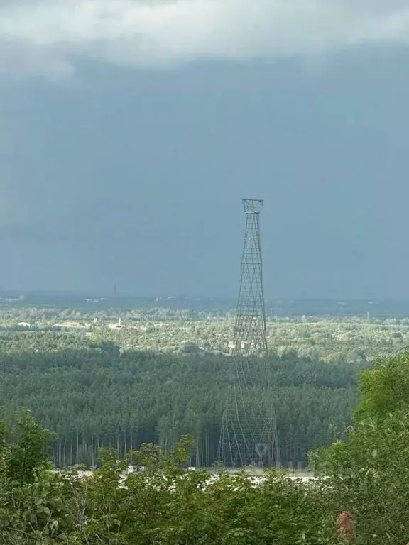 Дом в Нижегородская область, Богородский муниципальный округ, д. Сокол ... - Фото 0