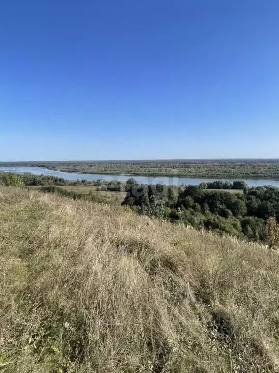 Участок в Владимирская область, Меленковский муниципальный округ, д. ... - Фото 1