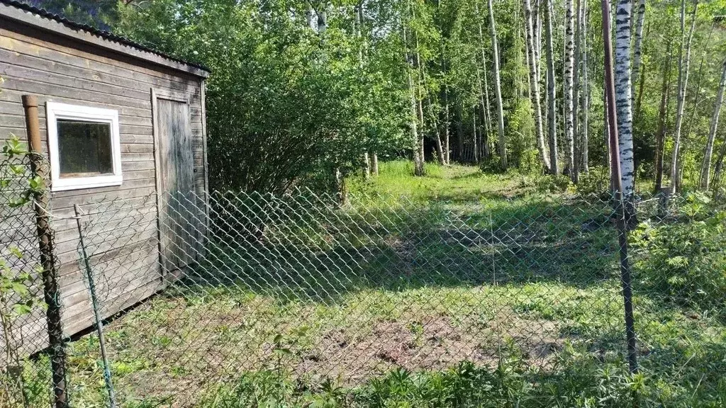 Участок в Ленинградская область, Всеволожское городское поселение, ... - Фото 1