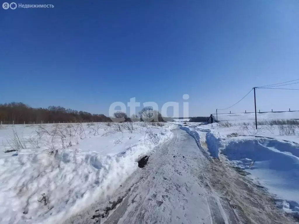 Участок в Киреевский район, муниципальное образование Бородинское, ... - Фото 1