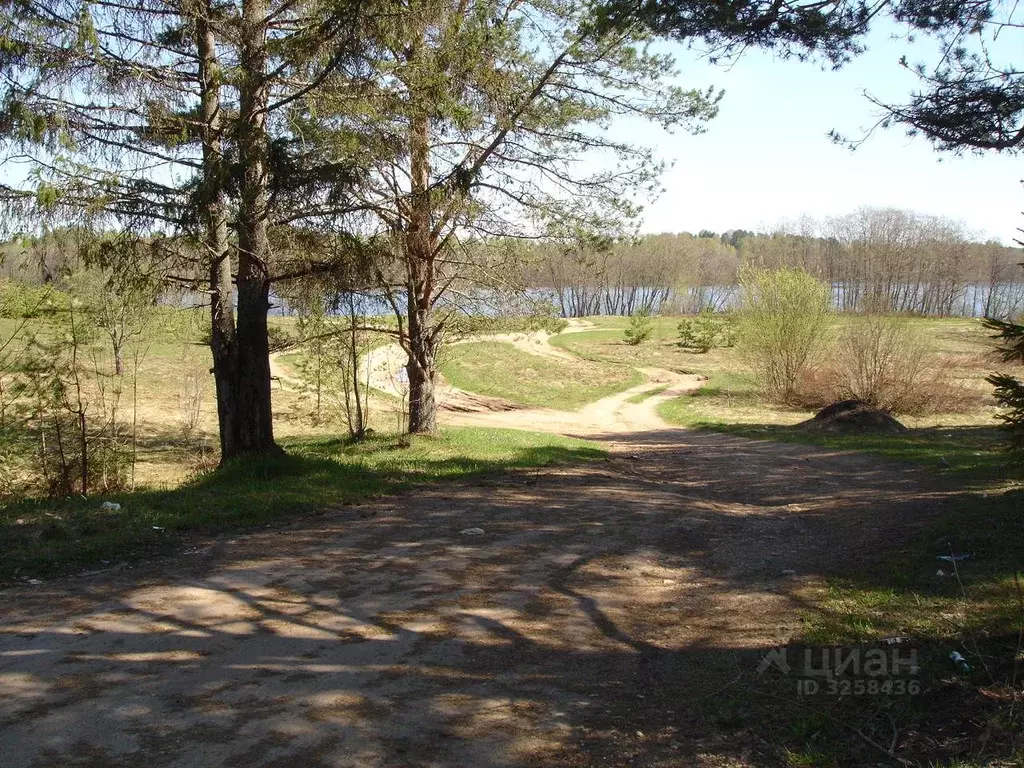 Участок в Новгородская область, Валдайский район, д. Станки  (17.0 ... - Фото 1