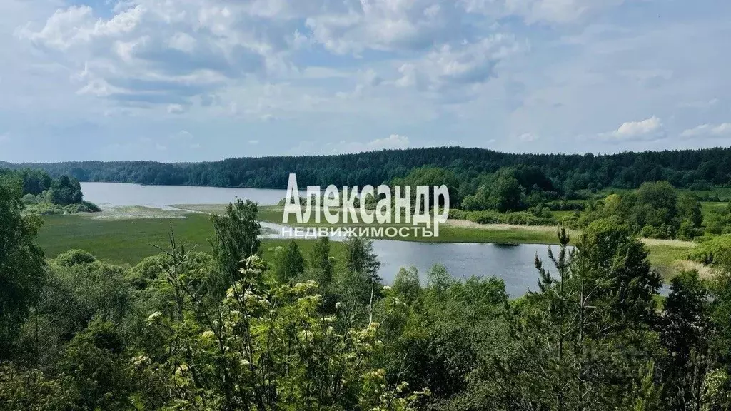 Участок в Ленинградская область, Выборгский район, Каменногорское ... - Фото 1