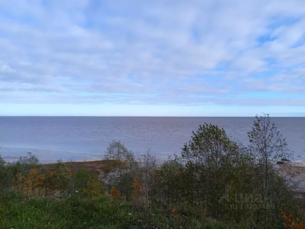 Участок в Новгородская область, Шимское городское поселение  (50000.0 ... - Фото 1