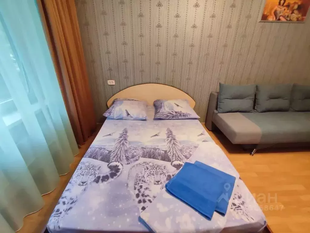 1-к кв. Красноярский край, Минусинск ул. Ванеева, 13 (33.0 м) - Фото 0