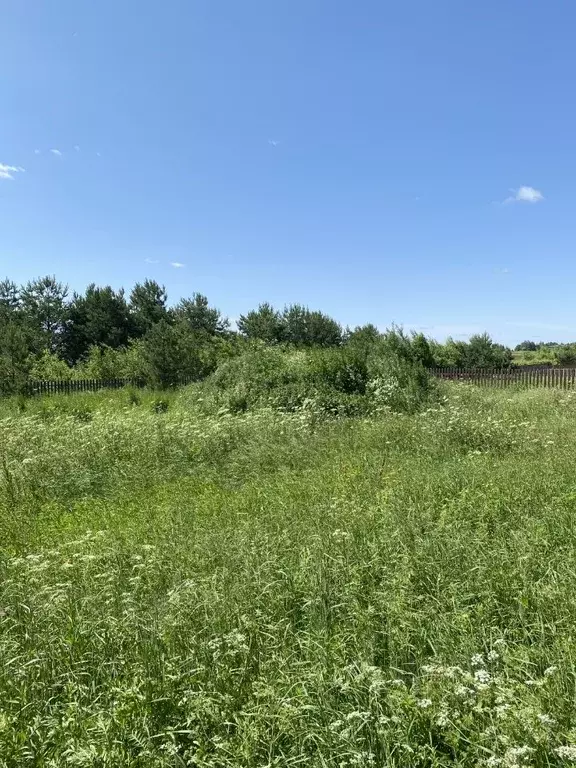 Участок в Тверская область, Конаковский муниципальный округ, д. ... - Фото 1