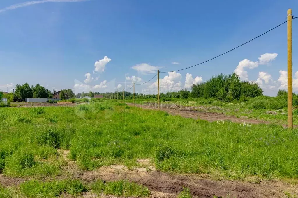Участок в Тюменская область, Тюмень  (6.0 сот.) - Фото 2