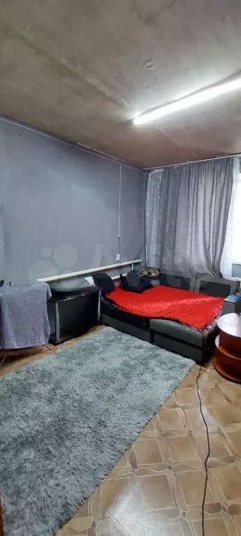 Квартира-студия, 25,1 м, 1/2 эт. - Фото 1