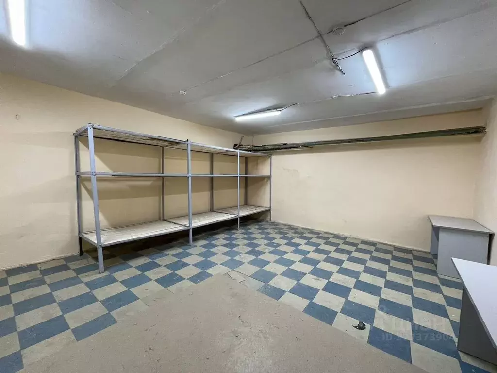 Склад в Новосибирская область, Новосибирск ул. 1-я Ельцовка, 1кБ (37 ... - Фото 2