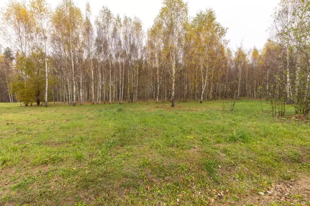 Участок в Московская область, Можайский муниципальный округ, Морской ... - Фото 1