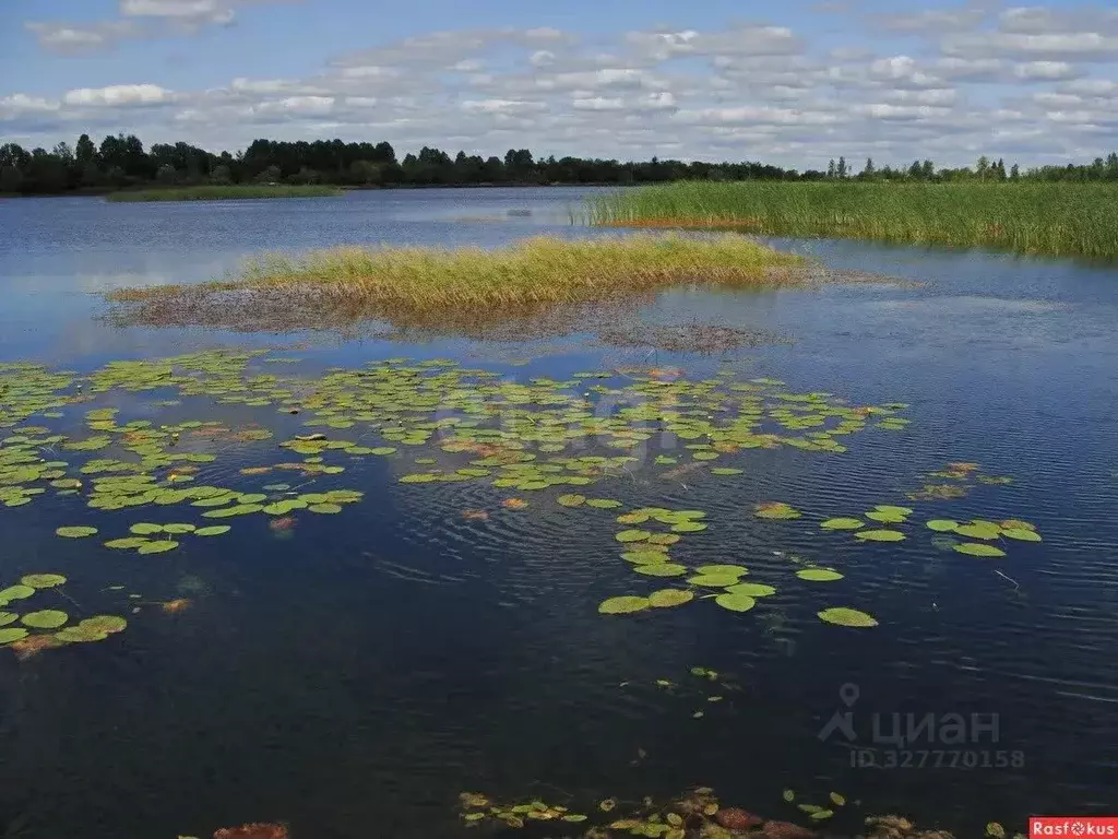 Участок в Самарская область, Самара пос. 113 километр, ул. Собинская, ... - Фото 2