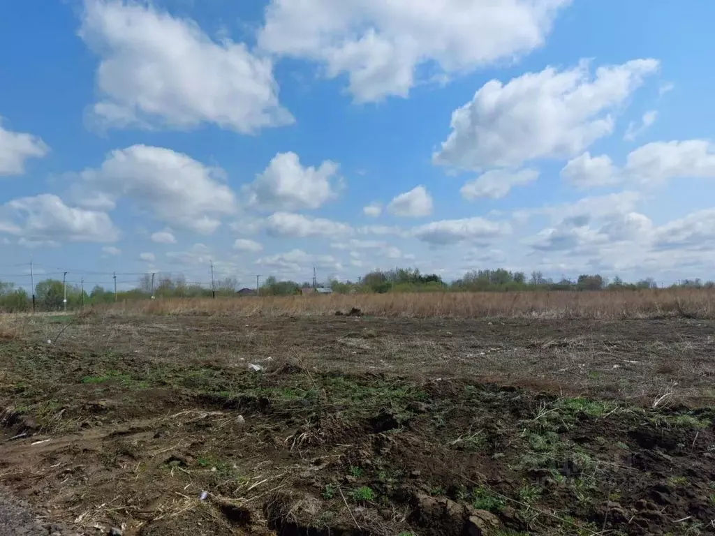 Участок в Хабаровский край, Хабаровский район, Тополевское с/пос, с. ... - Фото 2