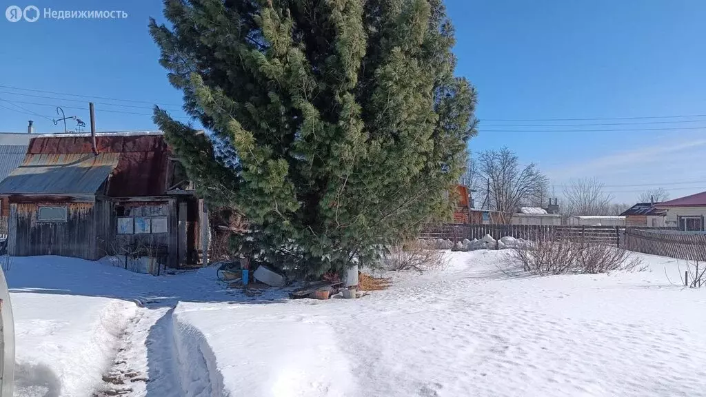 Участок в Томск, СНТ Коммунальщик, Смородиновая улица (3.7 м) - Фото 0