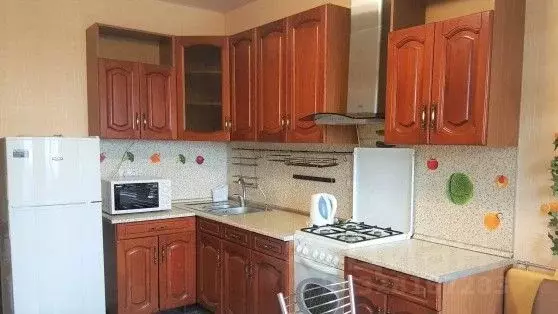 1-к кв. Московская область, Люберцы Парковая ул., 4 (45.0 м) - Фото 2