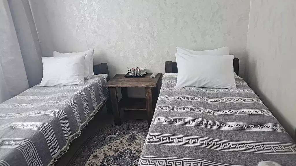 Комната Алтай, Шебалинский район, с. Шебалино Трактовая ул., 4/2 - Фото 2